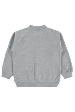 Erkek Çocuk Hırka 6-9 Yaş Grimelanj - Paket