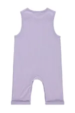 Pente bébé 0-24 mois Lilas - Emballage