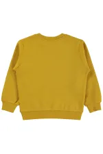 Erkek Çocuk Sweatshirt Km 2-5 Yaş Hardal - Paket