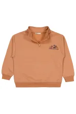 Erkek Çocuk Sweatshirt 6-9 Yaş Tarçın - Paket