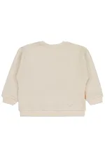 Erkek Çocuk Sweatshirt 2-5 Yaş Taş Rengi - Paket