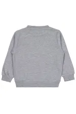 Boys Sweatshirt Km 2-5 Years Grimelanj - Package