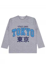 Boys Sweatshirt Km 6-9 Years Grimelanj - Package