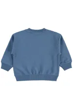 Erkek Çocuk Sweatshirt 2-5 Yaş İndigo - Paket