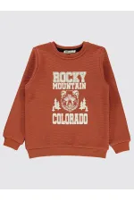 Erkek Çocuk Sweatshirt 6-9 Yaş Bakır - Paket