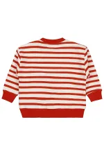 Erkek Çocuk Sweatshirt 2-5 Yaş Kiremit - Paket