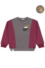 Erkek Çocuk Sweatshirt 6-9 Yaş Bordo - Paket