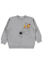 Erkek Çocuk Sweatshirt Km 2-5 Yaş Grimelanj - Paket