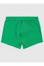 Erkek Çocuk Boxer 2-9 Yaş Yeşil-Beyaz - Paket