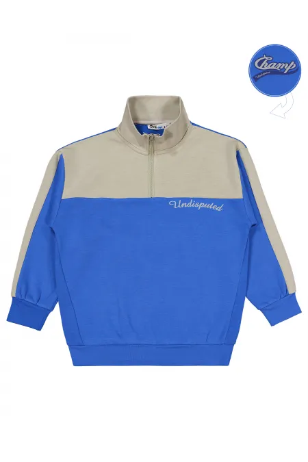 Erkek Çocuk Sweatshirt 6-9 Yaş Saks - Paket