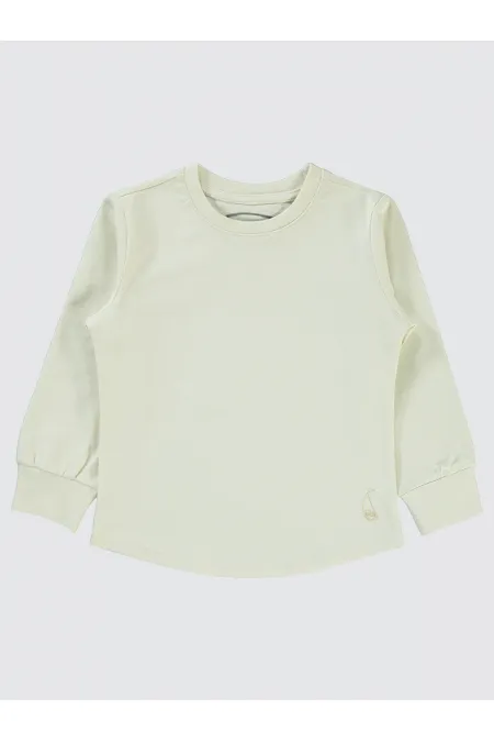 Erkek Çocuk Sweatshirt 2-5 Yaş FilDişi - Paket