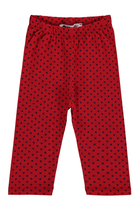 Baby Leggings 0-24 Months Red - Pack