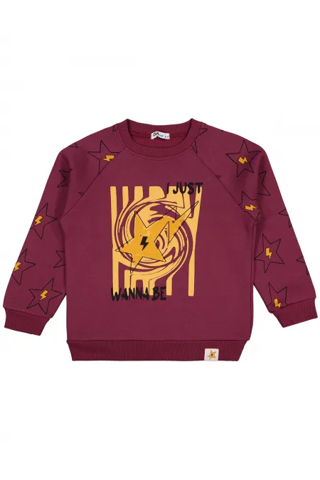 Erkek Çocuk Sweatshirt 6-9 Yaş Bordo - Paket