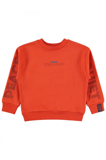 Erkek Çocuk Sweatshirt 6-9 Yaş Oranj - Paket