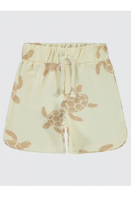 Erkek Çocuk Şort 2-5 Yaş FilDişi - Paket