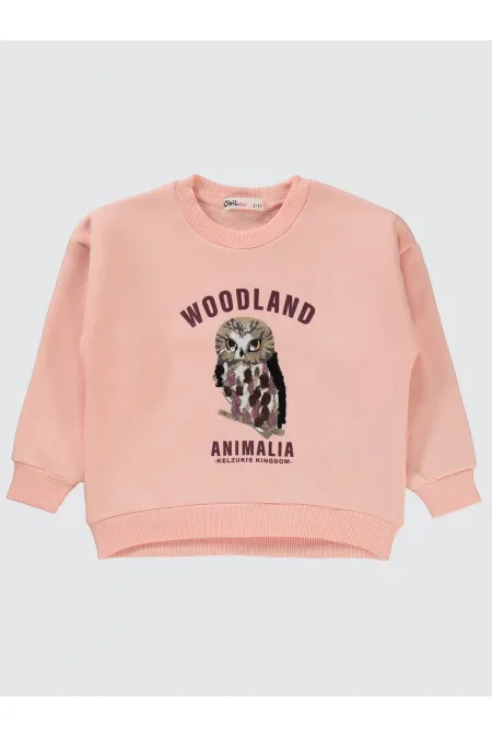 Kız Çocuk Sweatshirt 2-5 Yaş Pudra - Paket