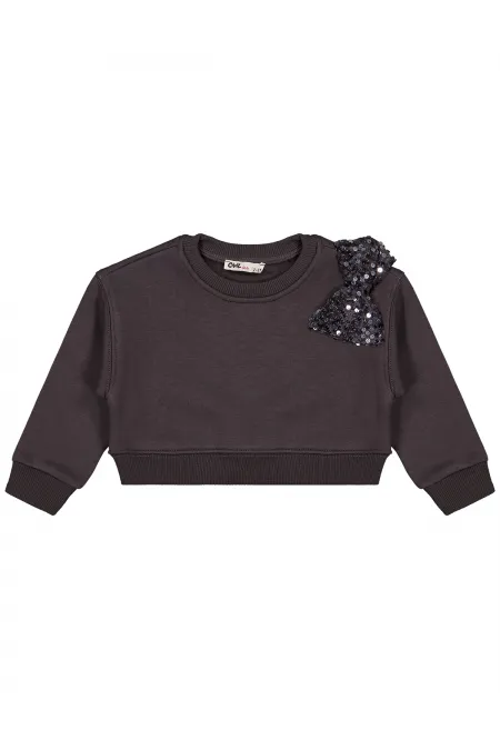 Kız Çocuk Sweatshirt 2-5 Yaş Antrasit - Paket