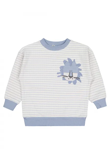 Erkek Çocuk Sweatshirt 2-5 Yaş Mavi - Paket