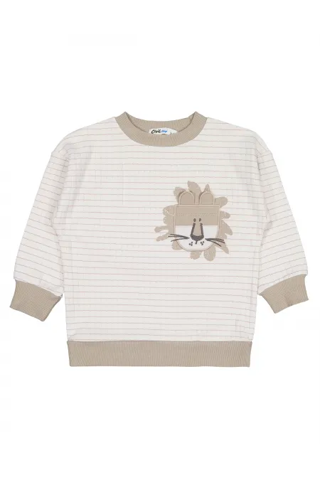 Erkek Çocuk Sweatshirt 2-5 Yaş Vizon - Paket