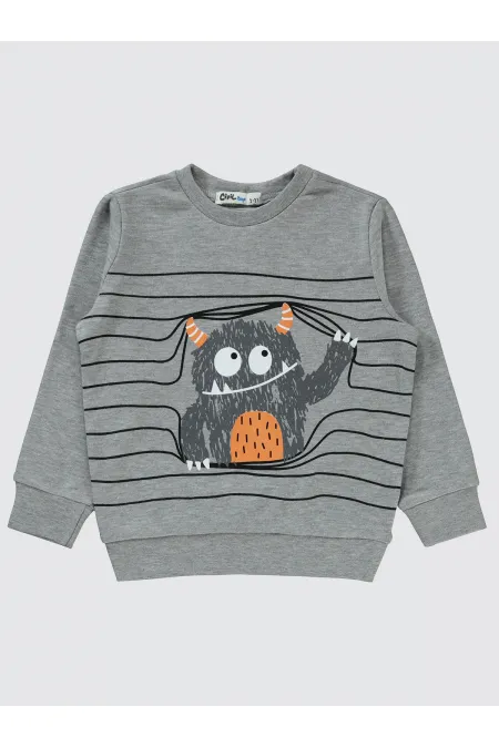 Boys Sweatshirt 2-5 Years Old Grimelanj - Package