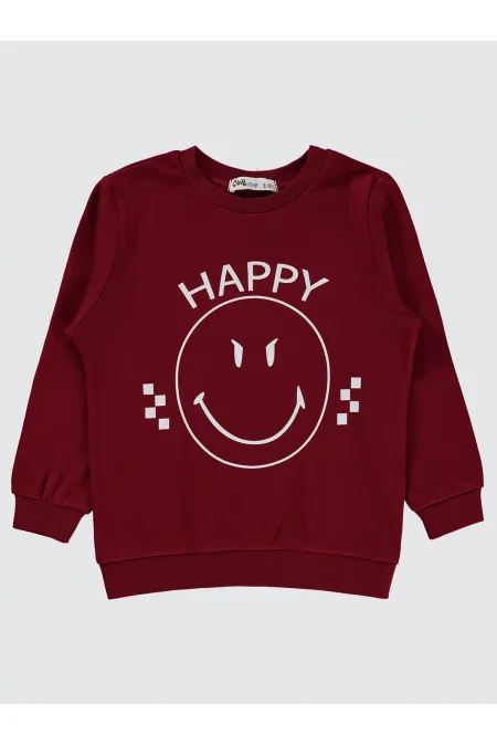 Erkek Çocuk Sweatshirt 2-5 Yaş Bordo - Paket