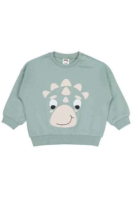 Bebek Sweatshirt 0-24 Ay Çağla Yeşili - Paket