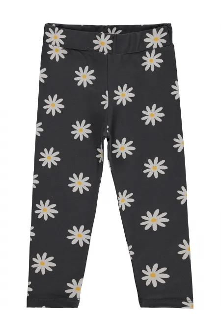 Leggings pour filles, 2-5 ans, anthracite - Lot