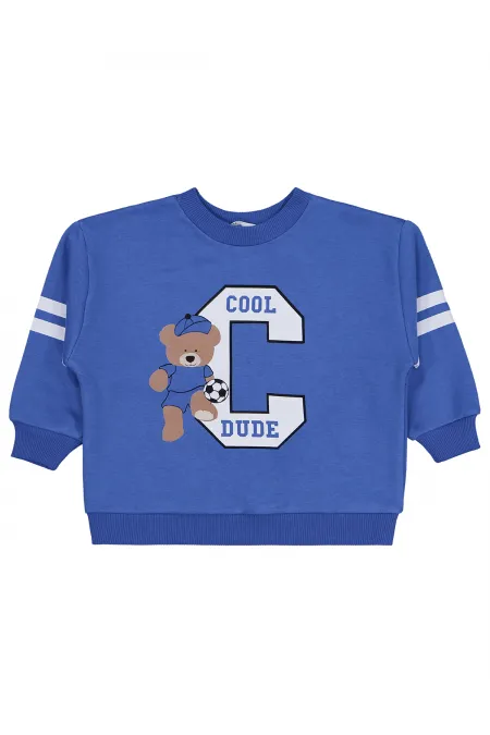 Erkek Çocuk Sweatshirt 2-5 Yaş Saks - Paket