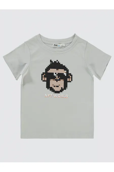 Lot de T-shirts pour garçons de 2 à 5 ans, gris clair