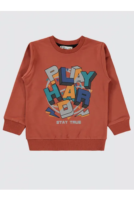 Boys Sweatshirt 2-5 Years Old Dark Copper - Pack