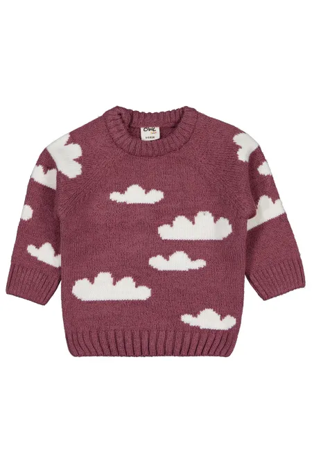 Bebek Kazak 0-24 Ay Gül Kurusu - Paket