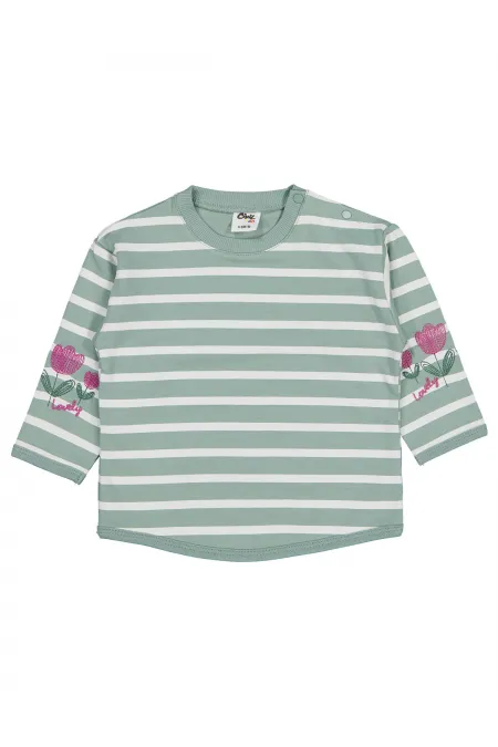 Bebek Sweatshirt 0-24 Ay Çağla Yeşili - Paket