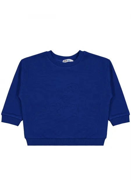 Erkek Çocuk Sweatshirt 2-5 Yaş Saks - Paket