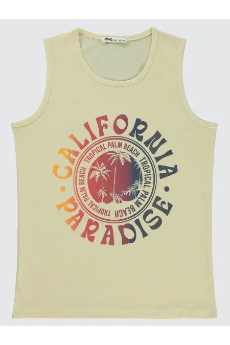 T-shirts garçon 10-13 ans couleur pierre - Lot