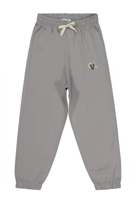 Bas de survêtement gris pour garçon de 2 à 5 ans - Lot