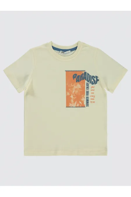 Lot de T-shirts pour garçons de 6 à 9 ans, couleur ivoire