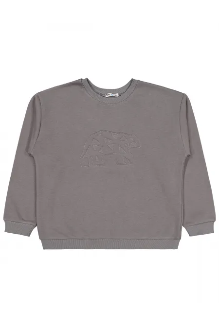 Erkek Çocuk Sweatshirt 10-13 Yaş Gri - Paket