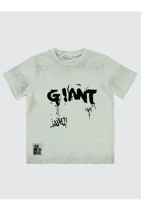 Boys T-Shirt 6-9 Years Old Light Gray - Pack