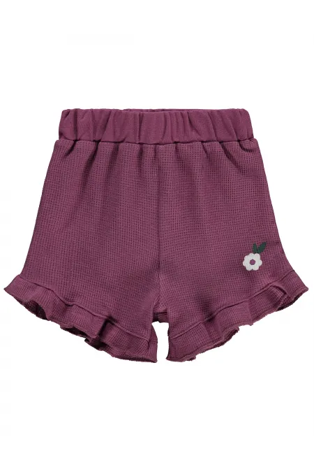 Bebek Şort 0-24 Ay Mürdüm - Paket