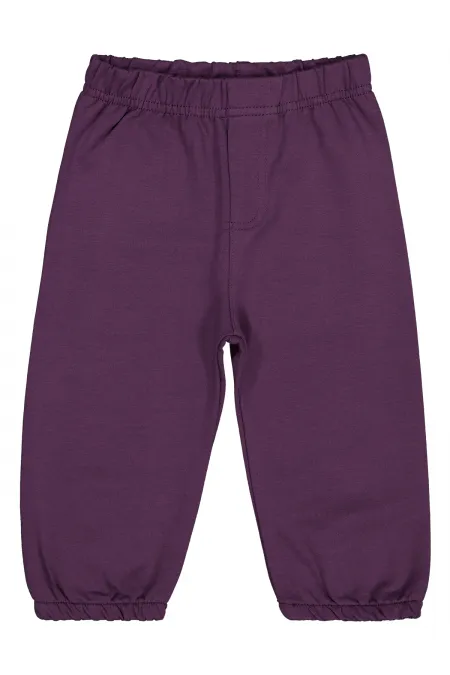 Baby Tracksuit Bottoms 0-24 Months Beetroot Purple - Pack