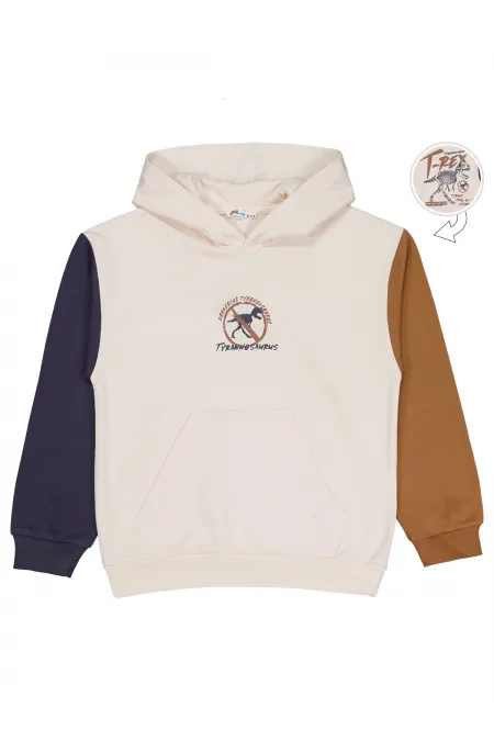 Erkek Çocuk Sweatshirt 10-13 Yaş Antrasit - Paket