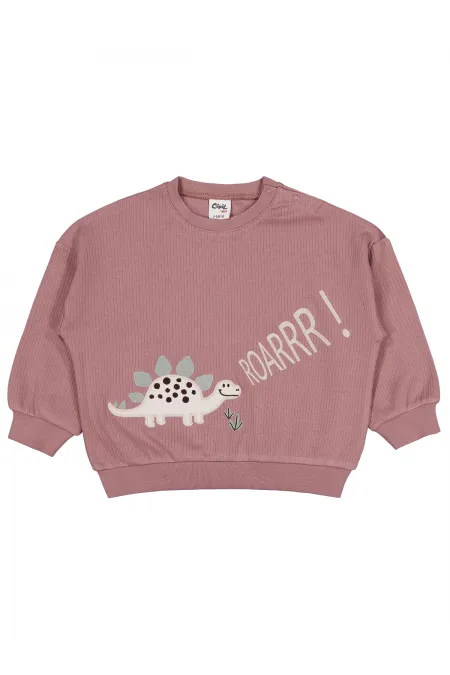 Bebek Sweatshirt 0-24 Ay Kahve - Paket