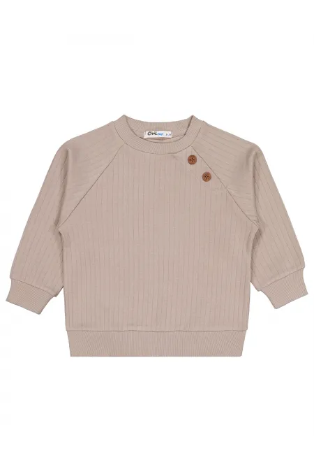 Erkek Çocuk Sweatshirt 2-5 Yaş Vizon - Paket