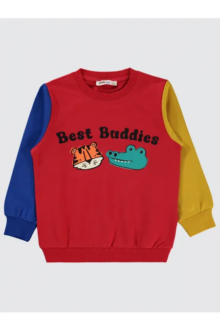 Boy Sweatshirt 2-5 Years Red - Package