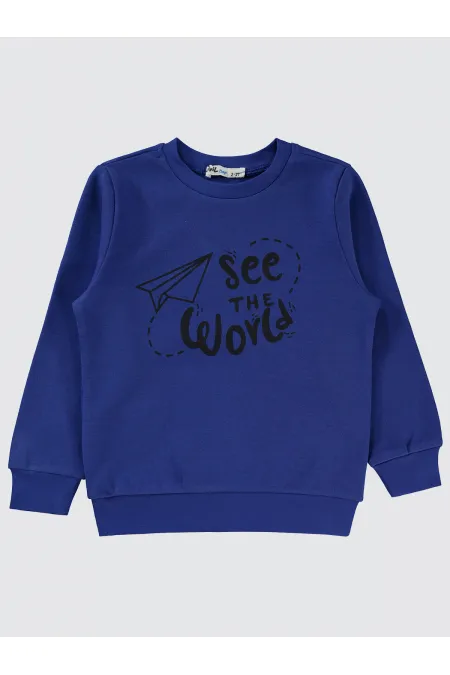 Erkek Çocuk Sweatshirt 2-5 Yaş Saks - Paket