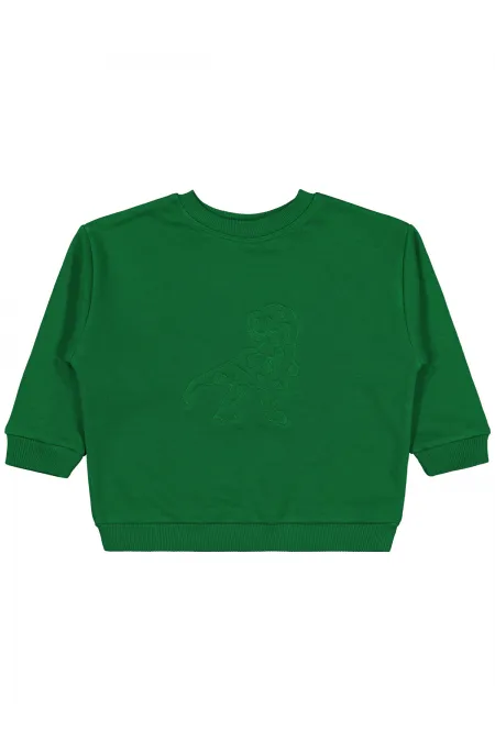 Erkek Çocuk Sweatshirt 2-5 Yaş Benetton - Paket