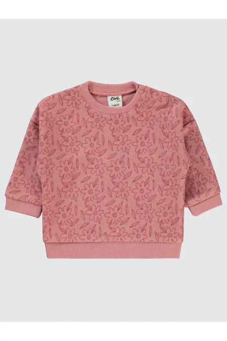 Bebek Sweatshirt 0-24 Ay Pudra - Paket