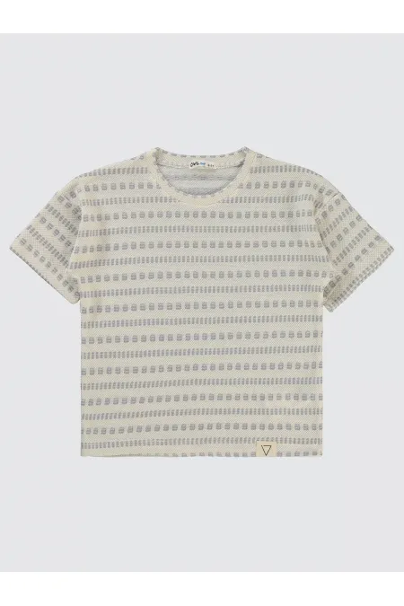 Boys T-Shirt 6-9 Years Old Gray - Pack