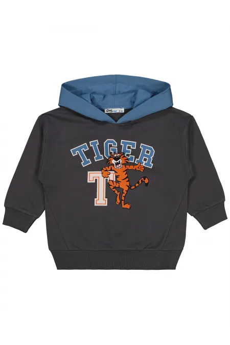 Antrasit Erkek Çocuk-Sweatshirt  - Paket