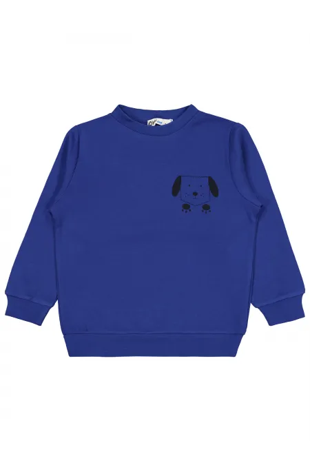 Erkek Çocuk Sweatshirt Km 2-5 Yaş Saks - Paket